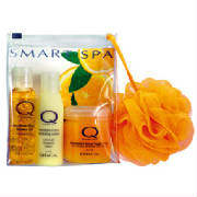 Qtica Smart Spa